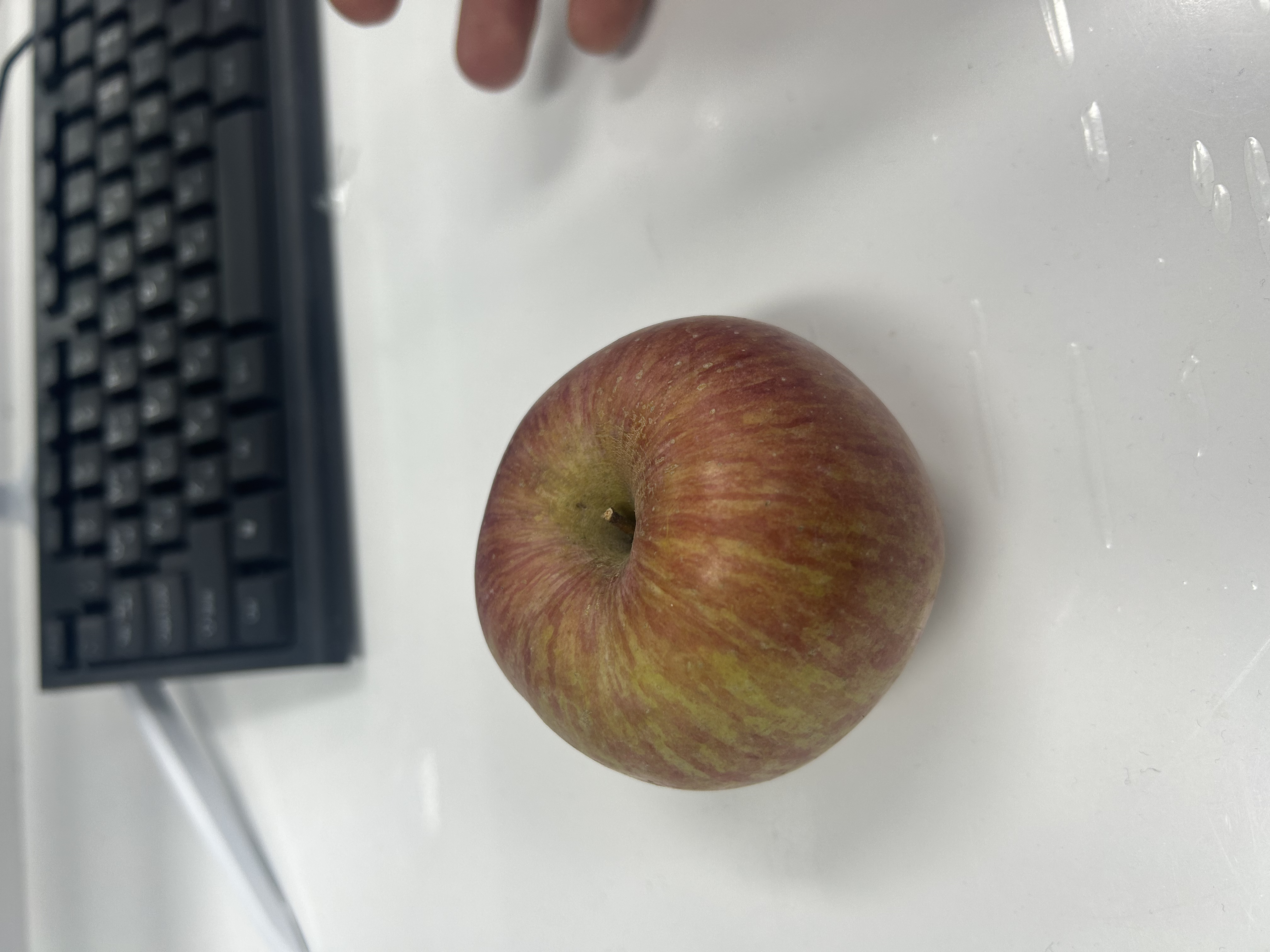 Apple Object Detection Model by projectApple