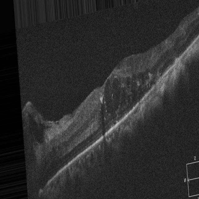 new_new Object Detection Dataset by test