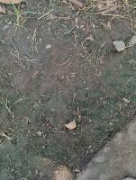 SOIL DETECTION project thumbnail