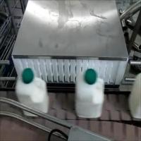 millk detection project thumbnail