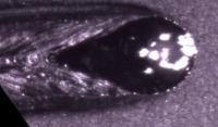 High speed melt pool images-AI project thumbnail