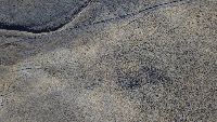 aerial cows 10k project thumbnail