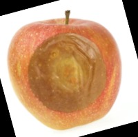 Fruits and Vegetables project thumbnail