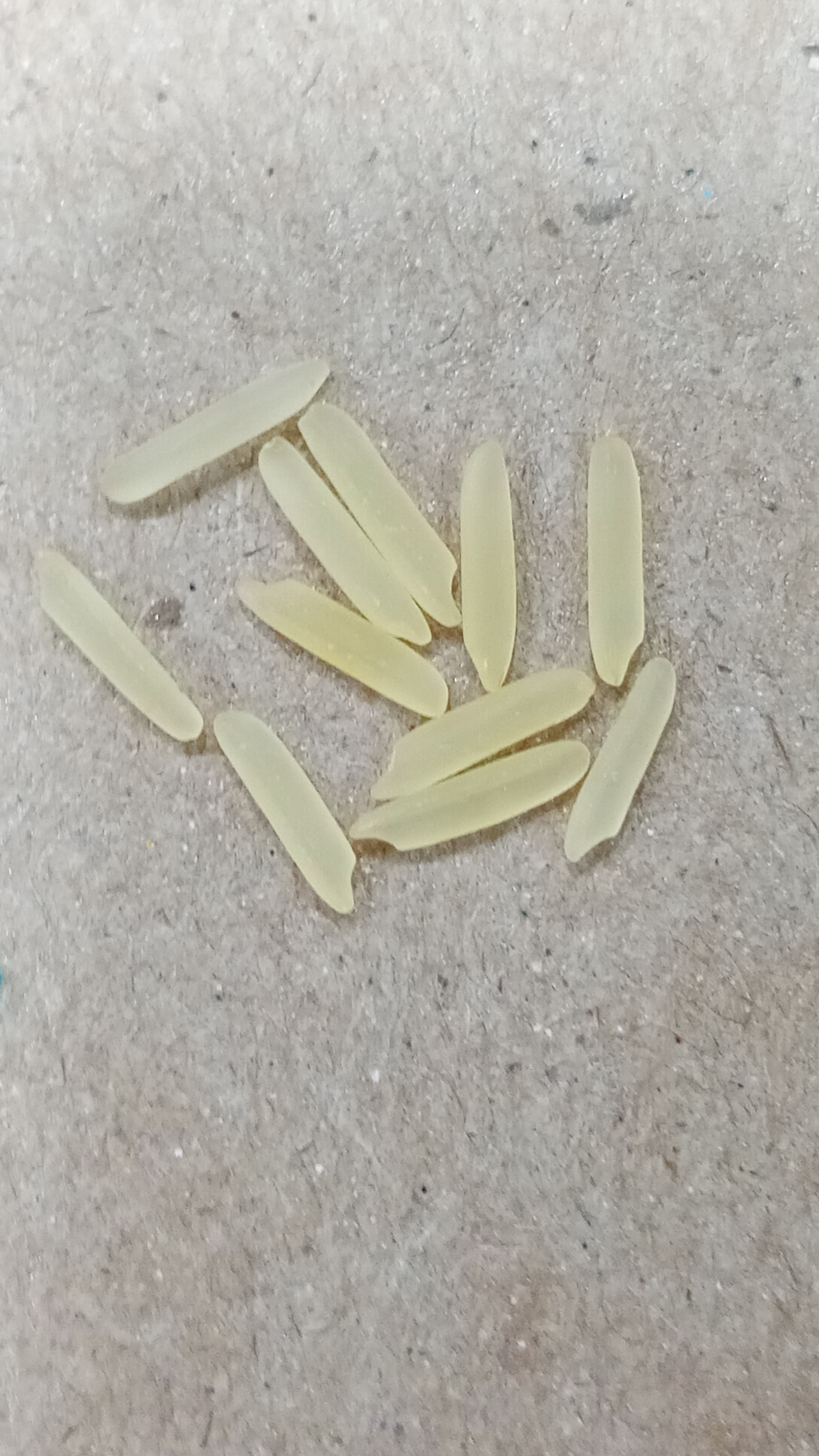 Debunked! The Truth About Rice And Its Classification - 5bmag7c