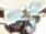 zoomed in photos project thumbnail