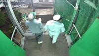 PPE_Seed project thumbnail