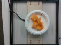 Food_Detect project thumbnail