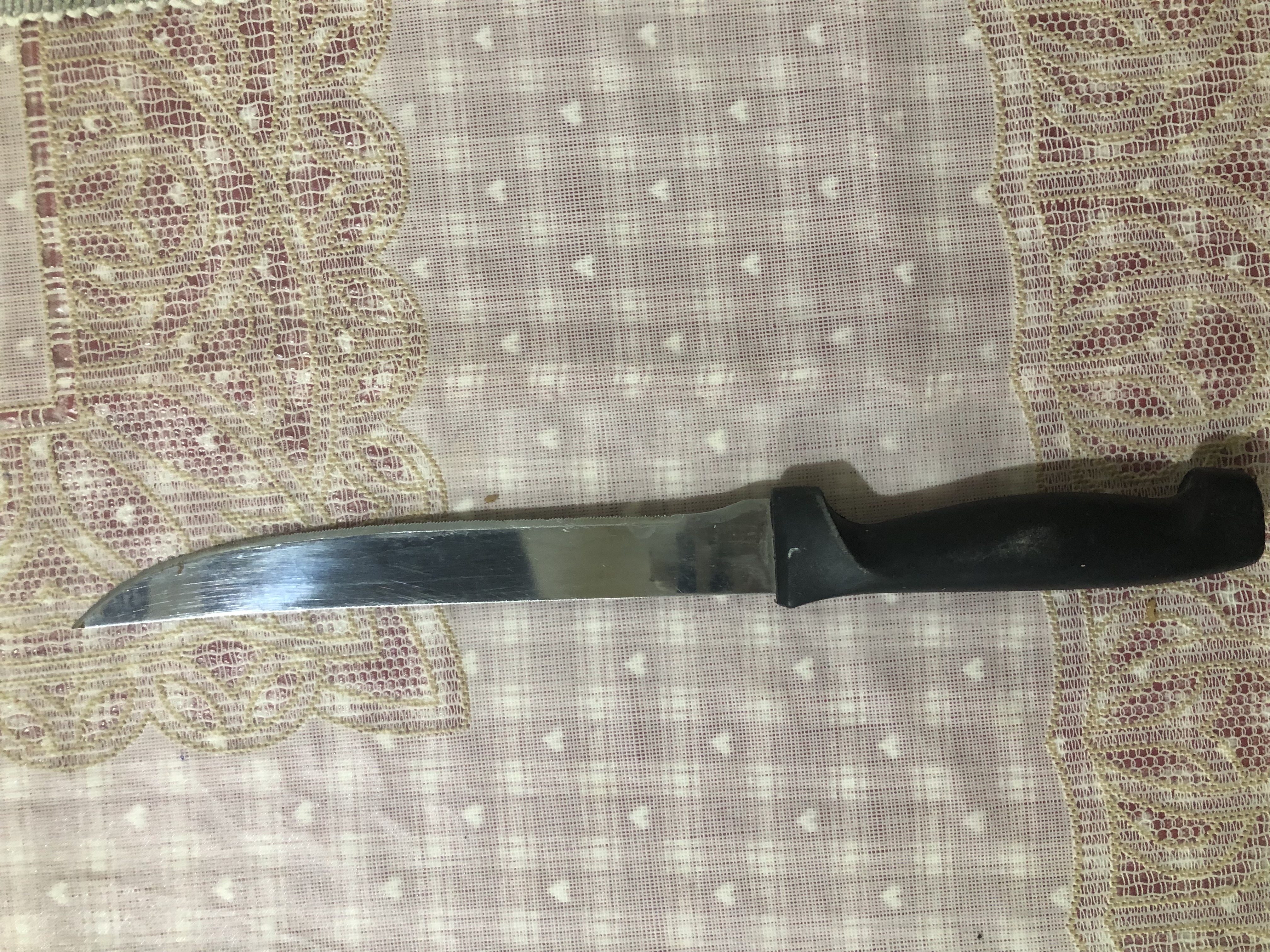 Knife Detection Object Detection Model by Knife Detection