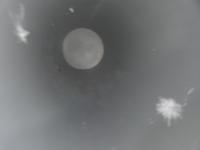 pipe corrosion detector3 project thumbnail