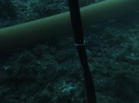 Pipe Leaking Detection (pipe-leaking-detection-bknml) - Roboflow Universe