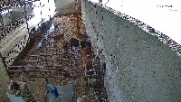 padoks project thumbnail