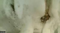Dearborn Group 1 project thumbnail