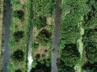 NHAN_DIEN_CAY_SAU_RIENG project thumbnail