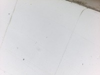 Zooplankton project thumbnail