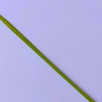 pendeteksi daun padi 2 project thumbnail