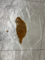 robo_grasp_obj_image project thumbnail