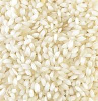 Rice-Variety-Classification" project thumbnail