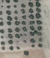 agriweb project thumbnail