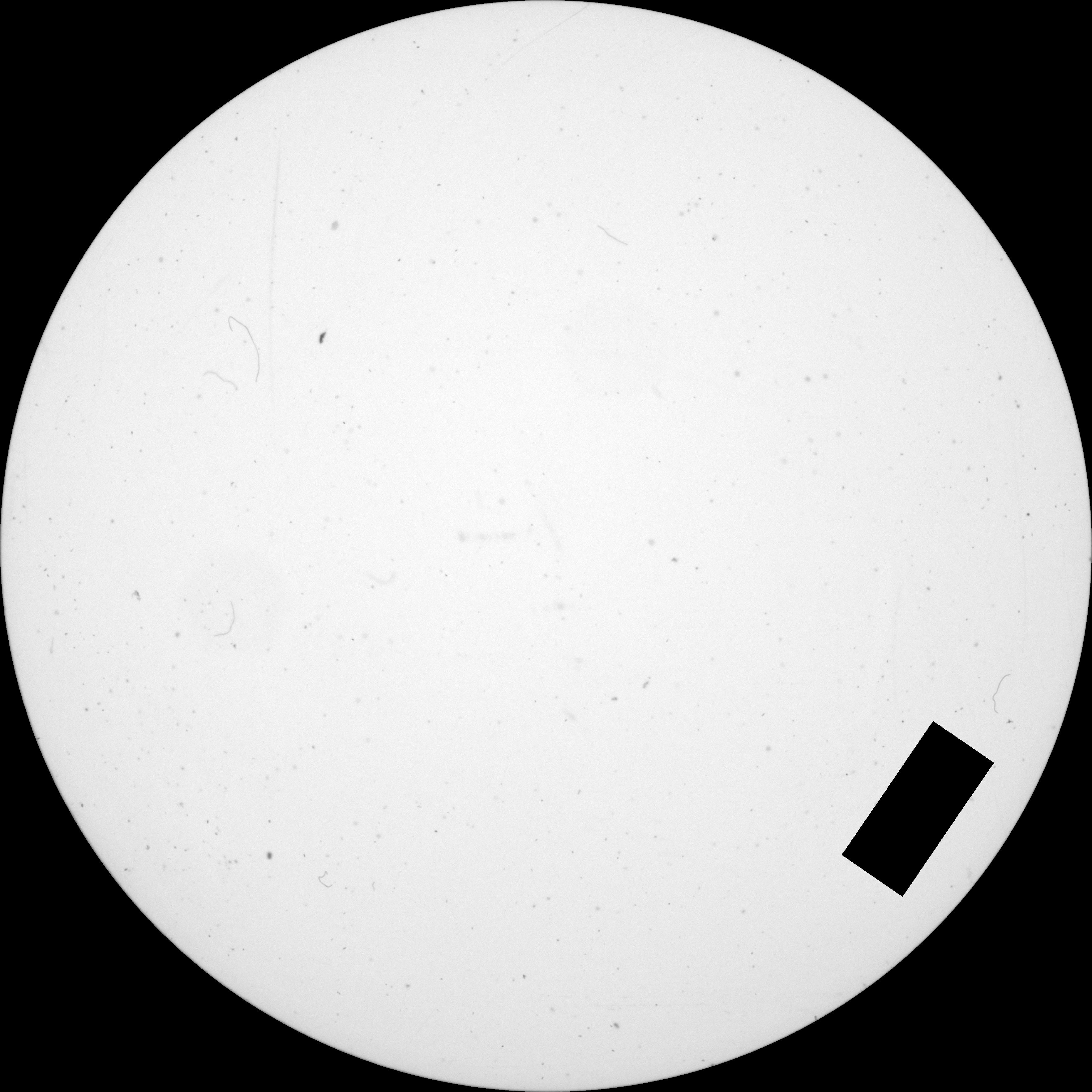 Lens Instance Segmentation Dataset by Joy Zhuge