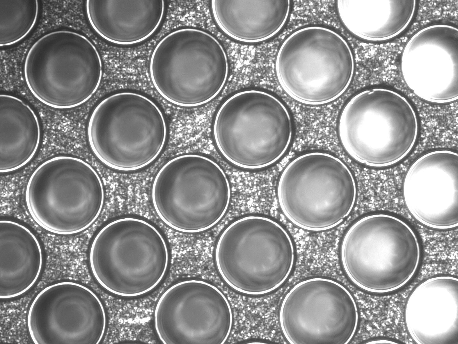 Hemisphere Instance Segmentation Dataset by Joy Zhuge