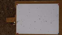 Ant_food_WT project thumbnail