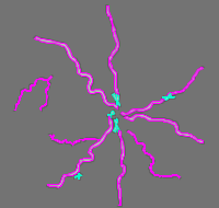 Annotation Visualization