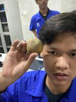 projektimbanganbuah project thumbnail