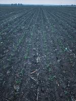 crop_row project thumbnail