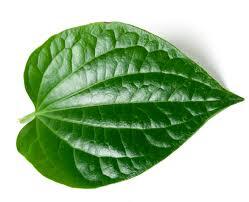 Deteksi Daun Instance Segmentation Dataset by RoboflowWorkspace