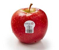 Fruits project thumbnail