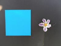 My First Project project thumbnail