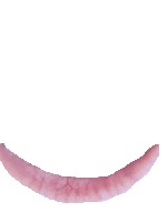 anemia-classification project thumbnail