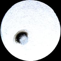 MSDD-Prompt-Learning project thumbnail