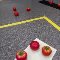 tomato1256 Object Detection Model by Tomato Dataset