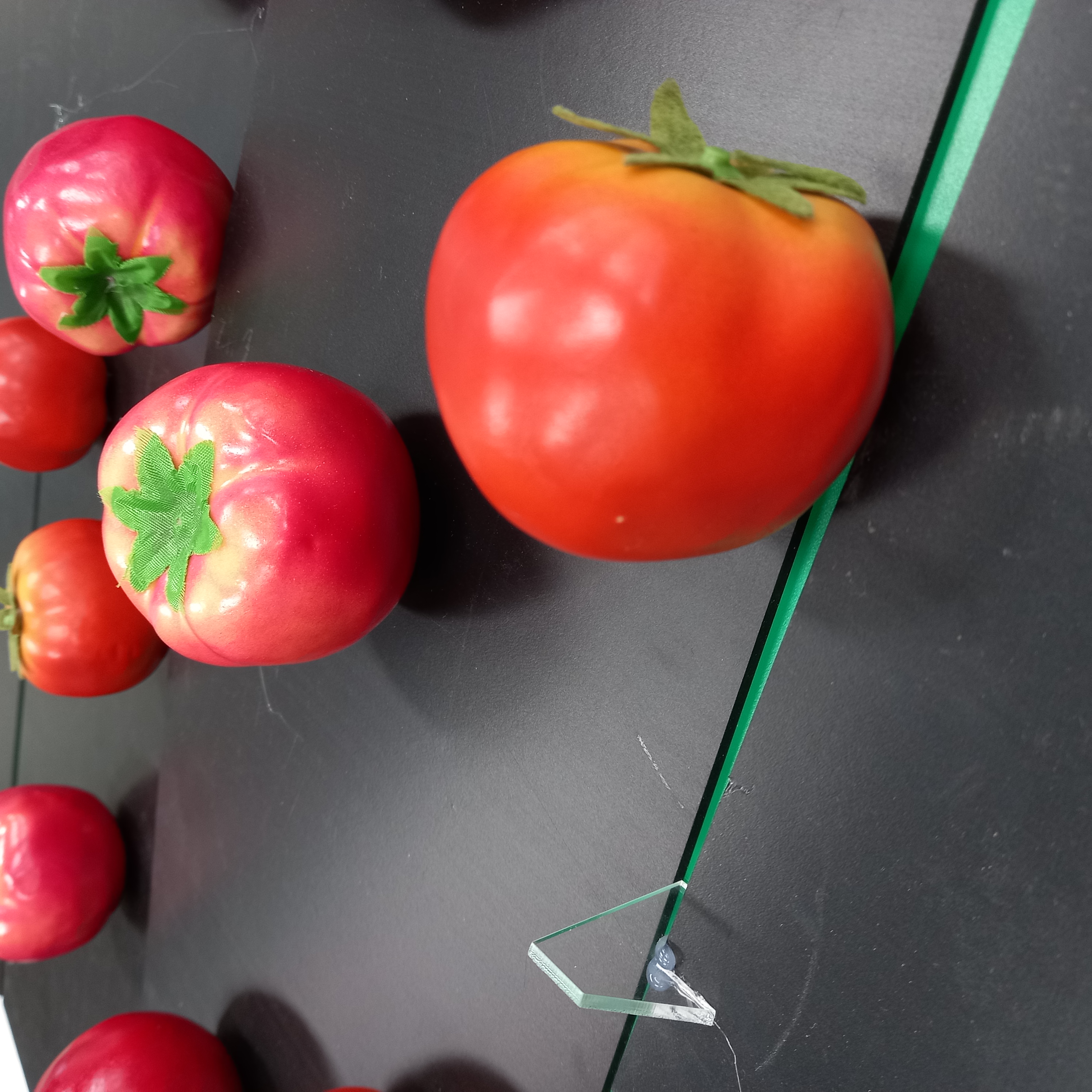 tomato1256 Object Detection Model by Tomato Dataset