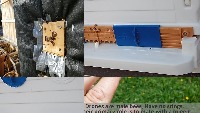 honeybee Detector project thumbnail