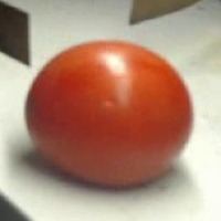 QA_Fruit_Tomato project thumbnail