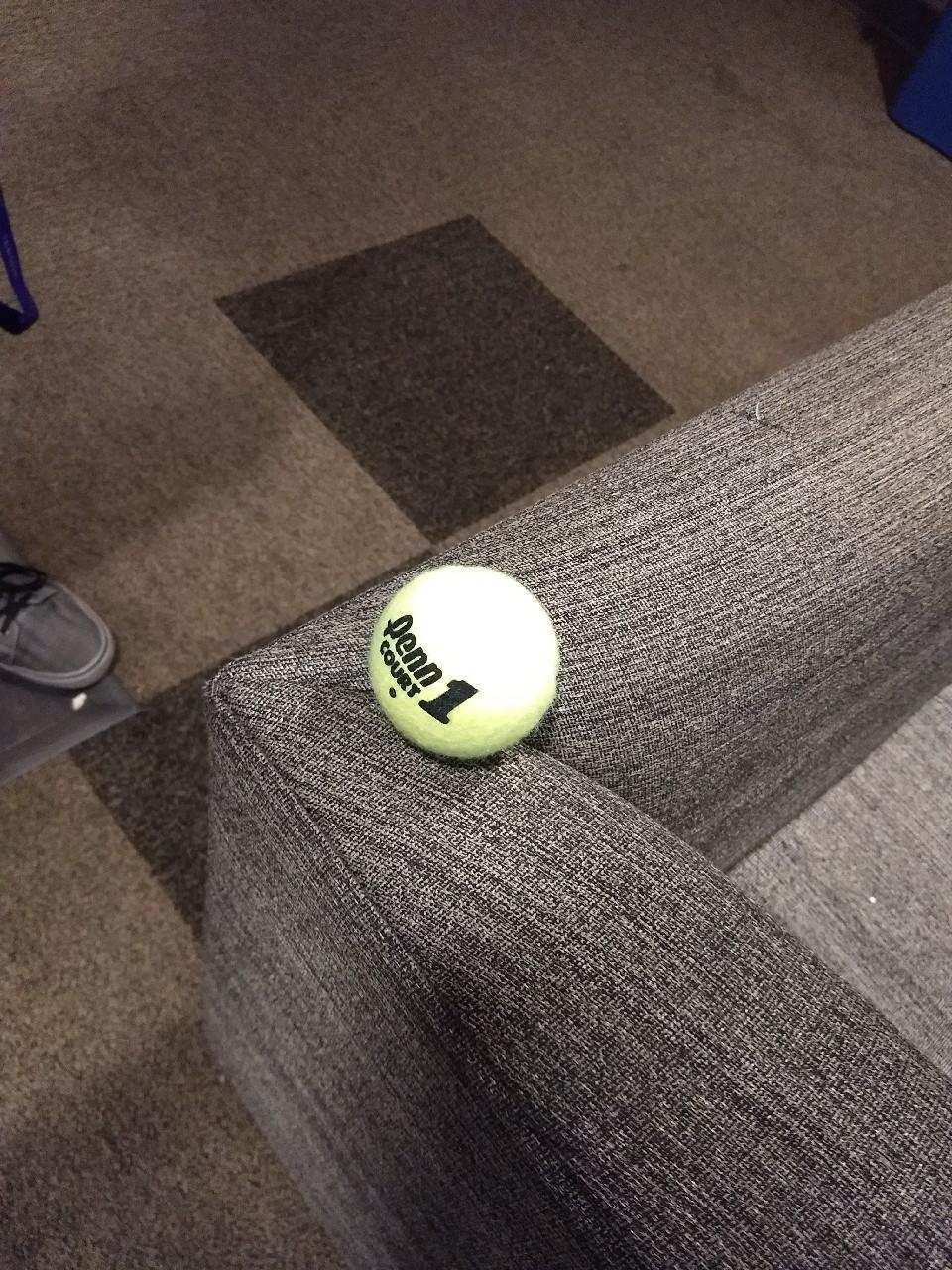 Tennis Ball Detect Object Detection Dataset and Pre-Trained Model by ...