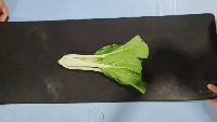 vege maturity project thumbnail