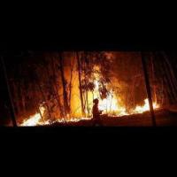 Fire Detection project thumbnail