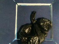 trash project thumbnail