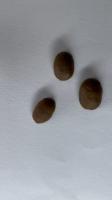 Roasting Level project thumbnail