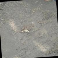 Find pothole project thumbnail