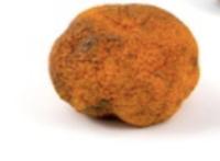 Fruit Detection project thumbnail