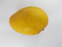 Mango Detection project thumbnail