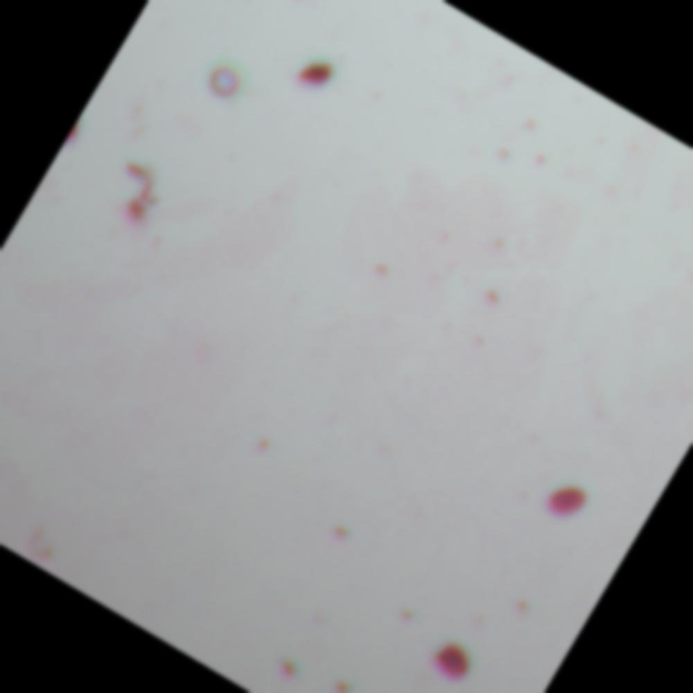 Hermit Hermit 3xexe Roboflow Universe