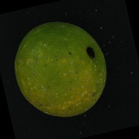 Orange Greening project thumbnail