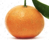 Oranges healthy 2 project thumbnail