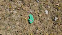 pfm-1 test project thumbnail