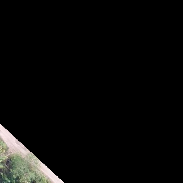 My First Project Object Detection Dataset by counting SAWIT